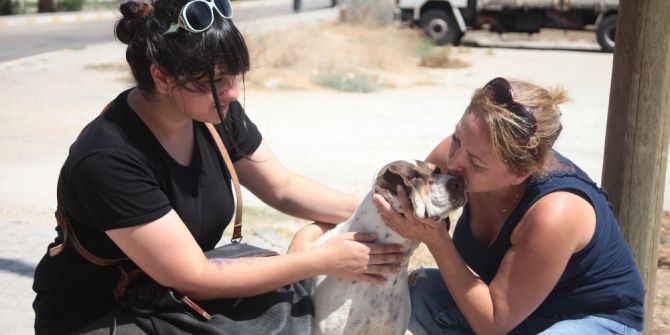 Köpekleri Zehirlemekle Tehdit Etti