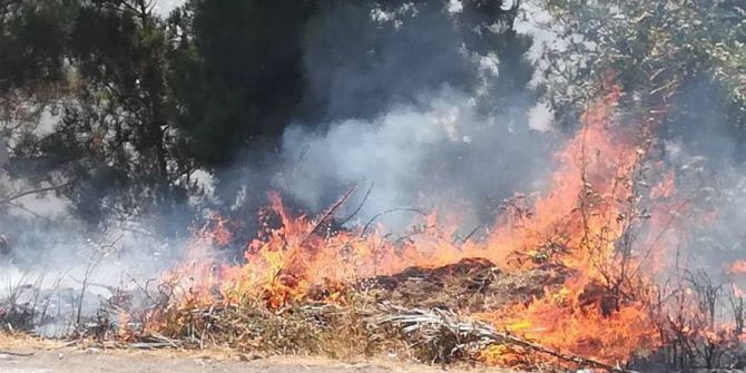 Yol Kenarında Tutuşan Otlar Korkuttu