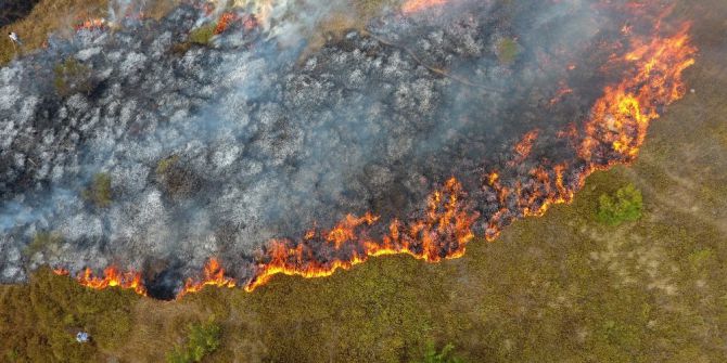 Sinop’ta Orman Yangını