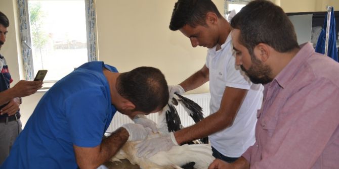 İtfaiye Ekiplerinden Leylek Kurtarma Operasyonu