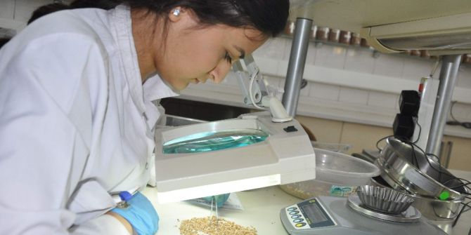 Hububatın Kalitesi Analiz Laboratuvarında Belli Oluyor