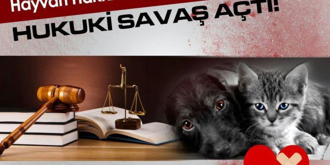 Haykonfed’den Belediyelere Dava Geliyor