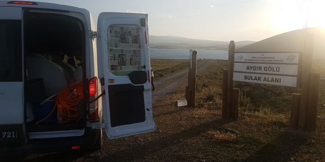 Kars’ta Göllere 100 Bin Yavru Sazan Balığı Bırakıldı