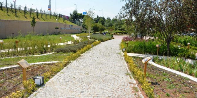 Tıbbi Aromatik Bitkiler Bahçesi Ziyaretçilerini Bekliyor