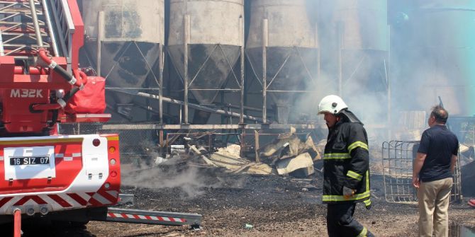Palet Fabrikasında Korkutan Yangın