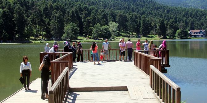 Göl Üzerindeki Nilüferler Görenleri Hayran Bıraktı