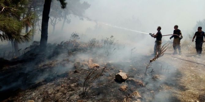 İzmir’de Dört Ayrı Noktada Yangın