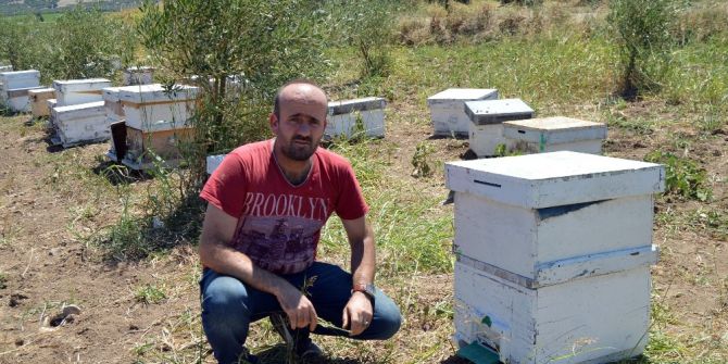 Manisa’da 3 Milyon Arı Telef Oldu