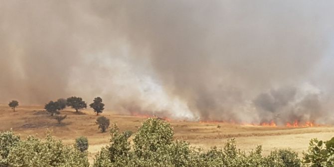 Dargeçit’te Arazi Yangını