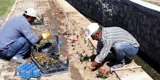Gürpınar’da Yeşillendirme Çalışması