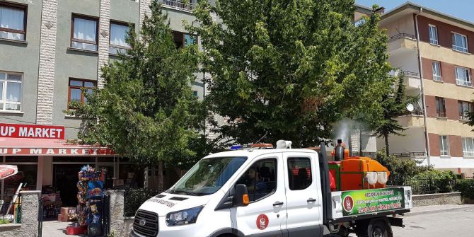 Keçiören’de Haşerelere Karşı Tam Seferberlik