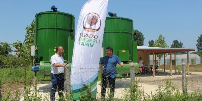 Fındık Hasat Sezonu Öncesi Hazırlıklar Başladı