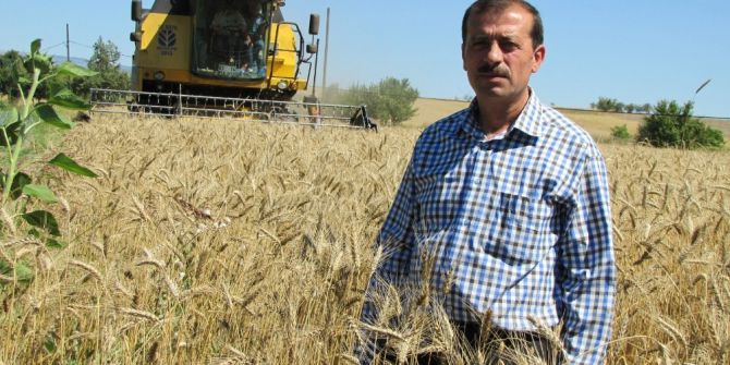 Hisarcık’ta Hububat Rekoltesi Yükseldi