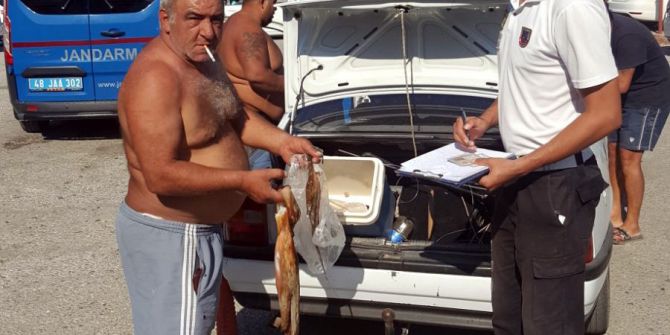 Jandarmadan Kaçak Avlanmaya Geçit Yok