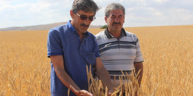 Ziraat Odası Başkanı Çetindağ’dan Biçerdöver Uyarısı