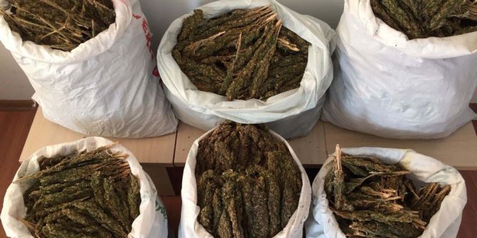 Bitlis’te 46 Kilo Esrar Ele Geçirildi
