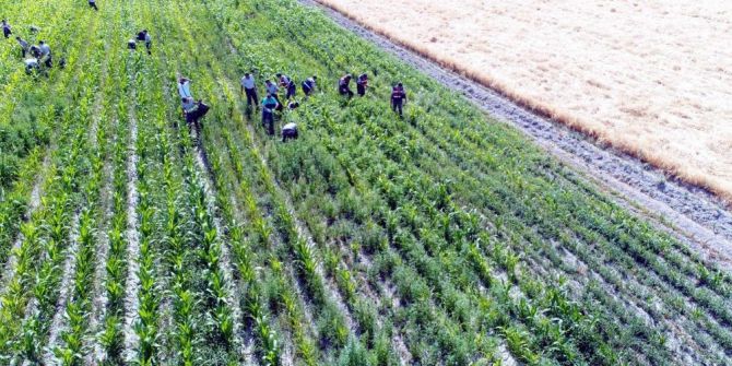 Kayseri’de Uyuşturucu Operasyonları