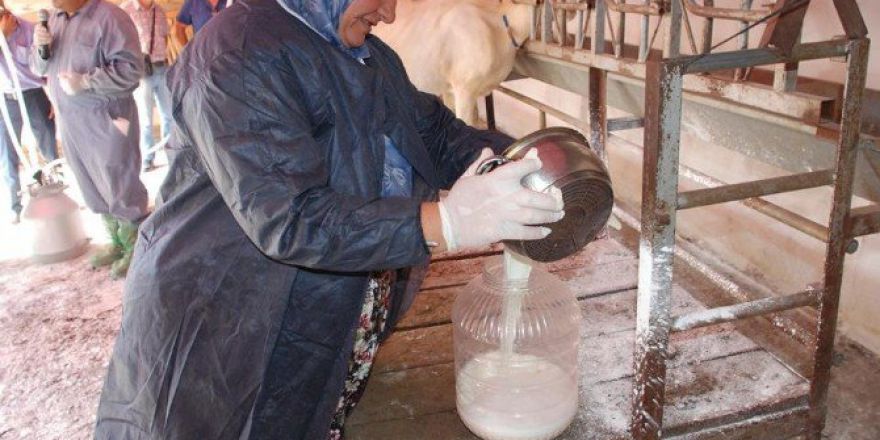 ’Kaliteli Süt Çanakkale’den Geçer’ Projesi Başladı