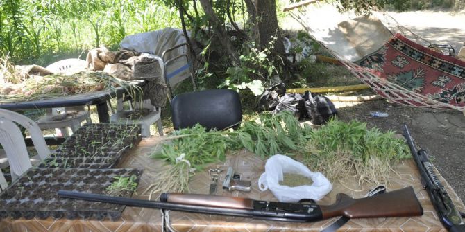 Araziye Damlama Sulama Sistemi Kurup Hint Keneviri Ekmiş