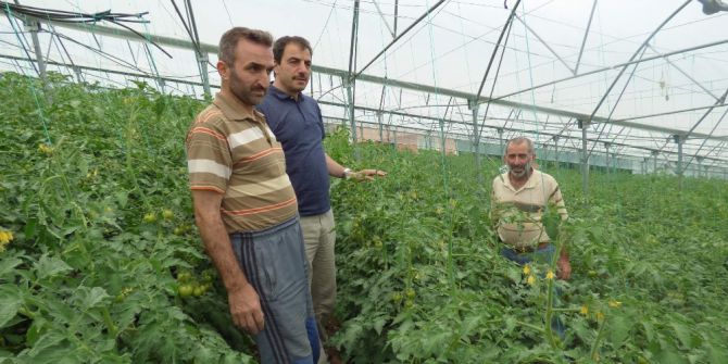 Akçaabat’ta Şehirleşme İle Birlikte Tarım Arazileri Küçülüyor
