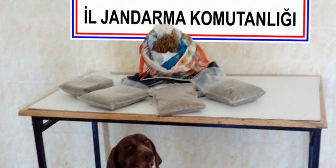 Sakarya’da 2 Kilo Bonzai Ele Geçirildi
