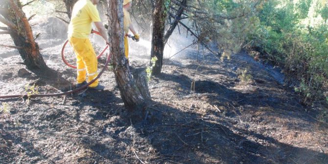 Otluk Alandan Ormana Sıçrayan Yangın Söndürüldü