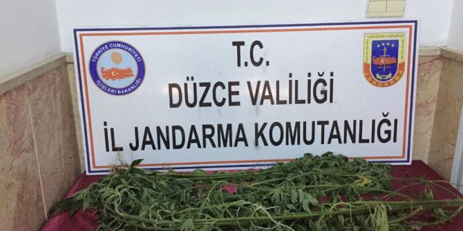 Jandarmadan Uyuşturucu Operasyonu