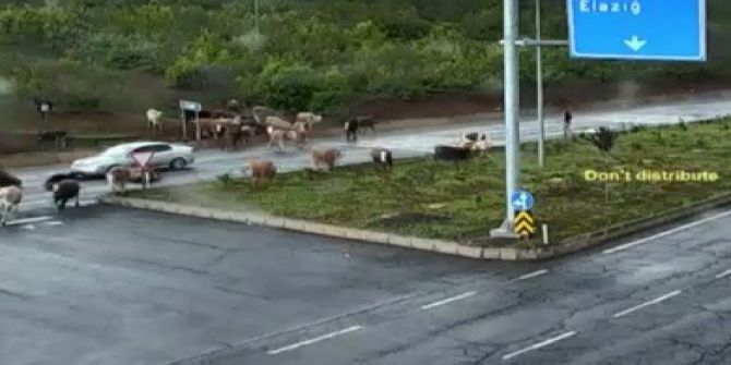 Mobese Kameralarına Yansıyanlar "Bu Kadar Da Olmaz" Dedirtti