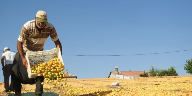 Malatya Sarıya Boyandı