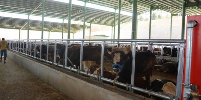 Besicilere Ön Kayıt Uyarısı