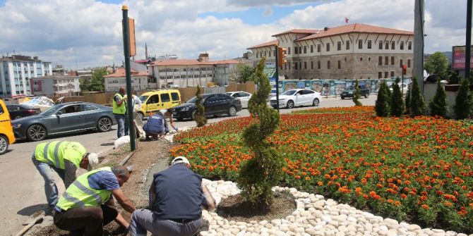 Sivas’a Nüfusu Kadar Ağaç Ve Bitki Dikildi