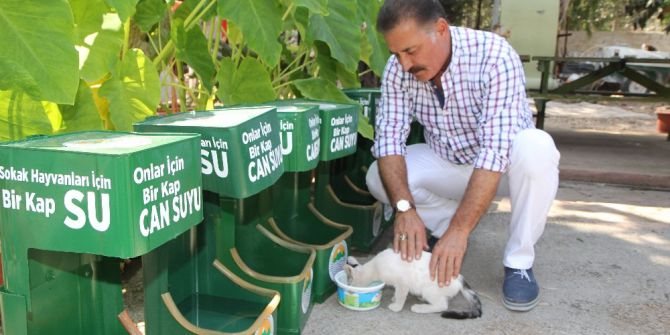 Sokak Hayvanlarına Geri Dönüşümden Su Kabı