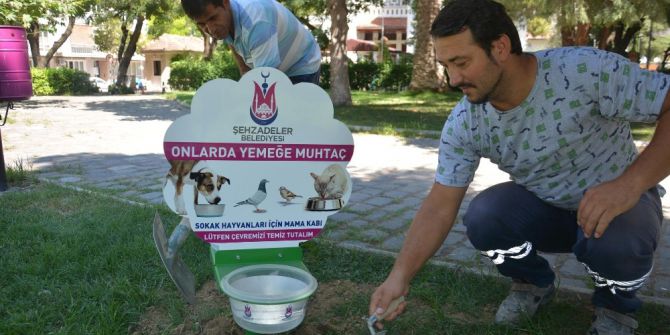 Şehzadeler’den Sokak Hayvanlar İçin Duyarlılık Örneği