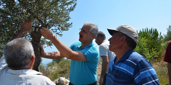 Orman Köylüsünün Yüzü Güldü