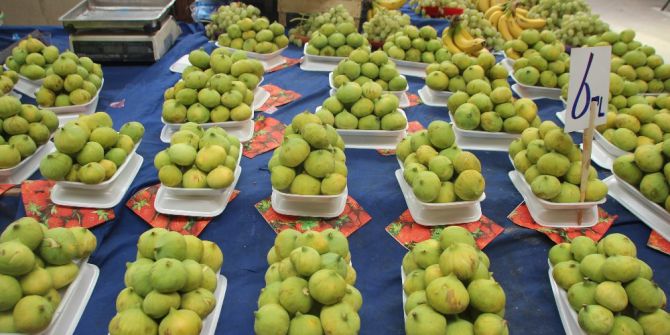 Sezonun İlk İnciri Tezgahtaki Yerini Aldı