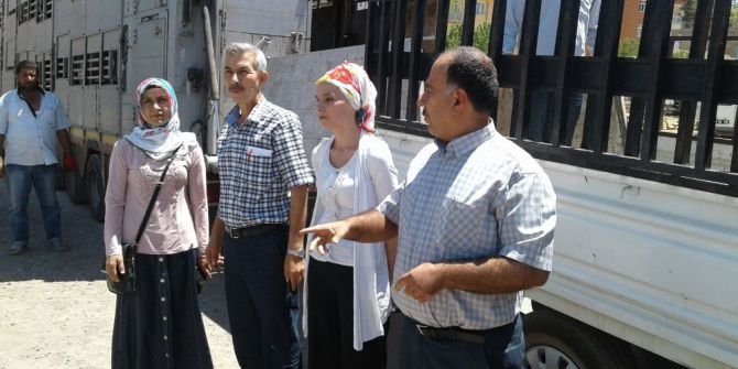 Arapgir’de 30 Adet Büyükbaş Hayvan Dağıtıldı