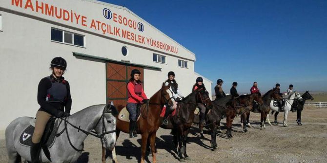 Mahmudiye Atlı Dayanıklılık Yarışmaları’nda Kupalar Sahiplerini Bekliyor
