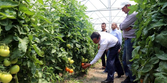 Gürpınar Belediyesinden Örnek Sera