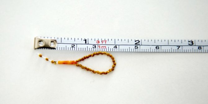 İncir Çekirdeğini Doldurdu