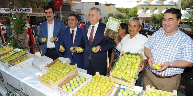 Buharkent ’İncir’ Festivaline Hazır