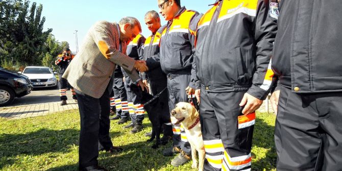 Kahraman Köpek Şans Hayatını Kaybetti