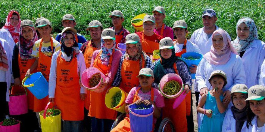 Tarıma Engel Yok Projesi’nde Hasat Mutluluğu
