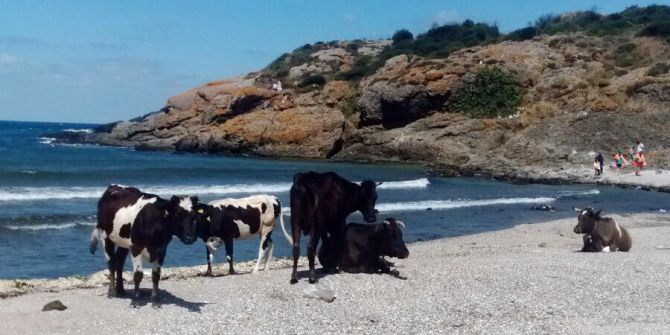 Dolu Ve Fırtına Felaketinin Ardından İstanbul’da Renkli Görüntüler