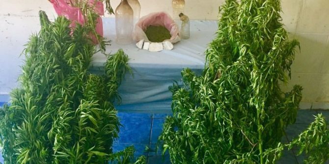 Uludere’de Uyuşturucu Operasyonu