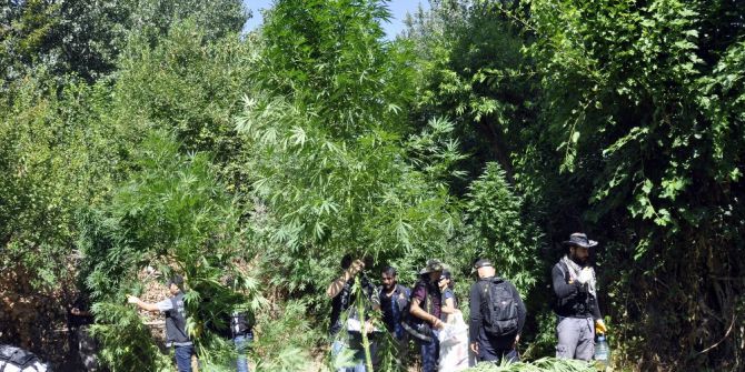 Dev Kenevirler Polisi Şaşırttı