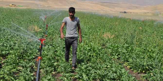 Şeker Pancarında Kota Sıkıntısı