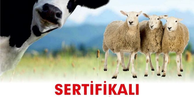 Kurban Kesim Kursu Başvurularında Son 2 Gün