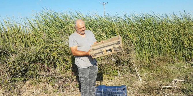 Yasa Dışı Yakalanan 93 Saka Kuşu Doğaya Bırakıldı