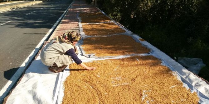 Bulgurluk Buğdaylar Kaldırımda Kurutuluyor