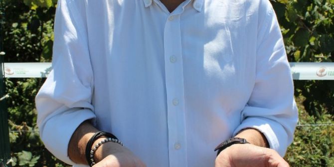 Bakımlı Fındık Kendini Gösteriyor